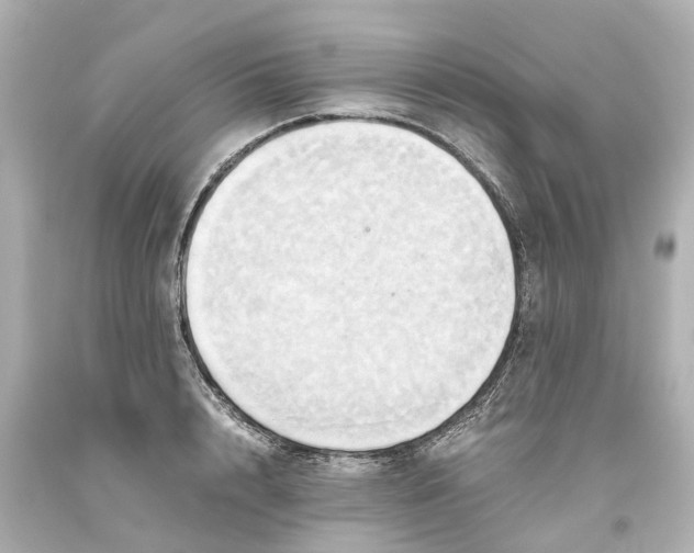 X0000093610848200710291204