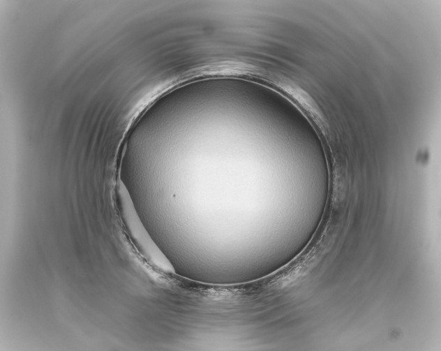 X0000093610850200710291204