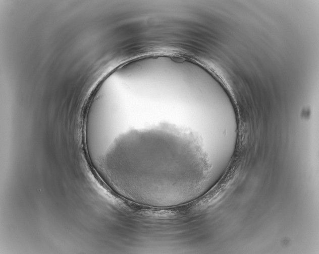 X0000093610851200710291204