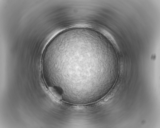 X0000093610852200710291204
