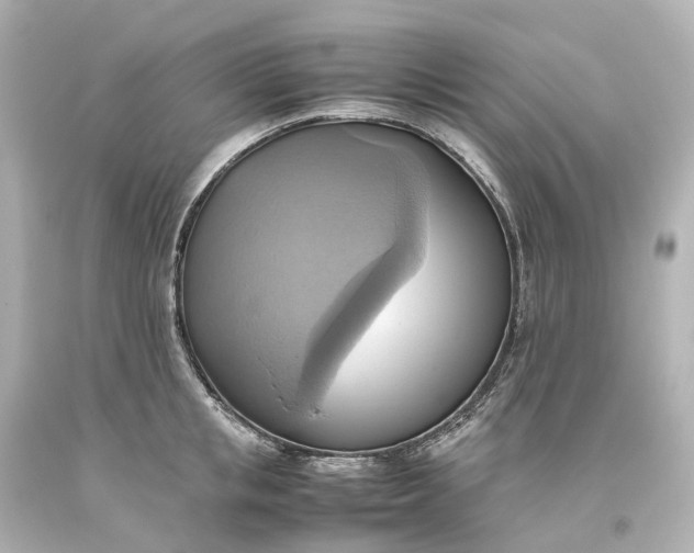 X0000093610853200710291204