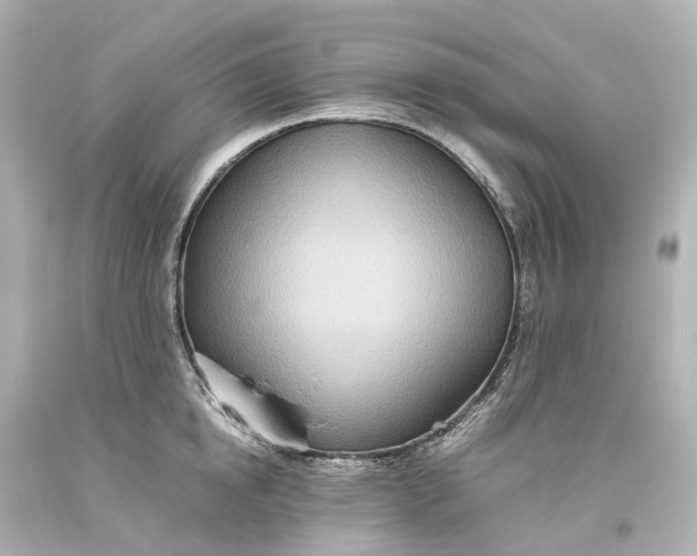 X0000093610854200710291204
