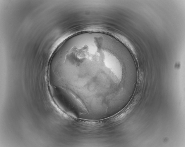X0000093610855200710291204