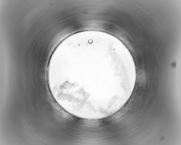 X0000093610856200710291204