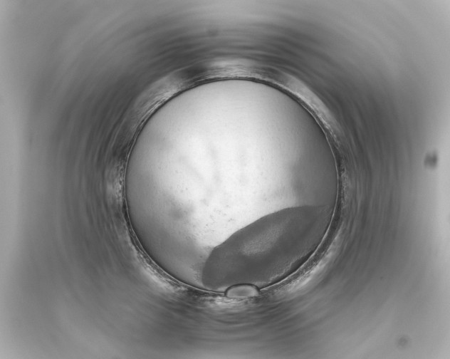 X0000093610857200710291204