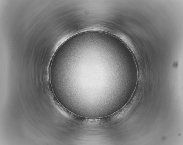 X0000093610858200710291204