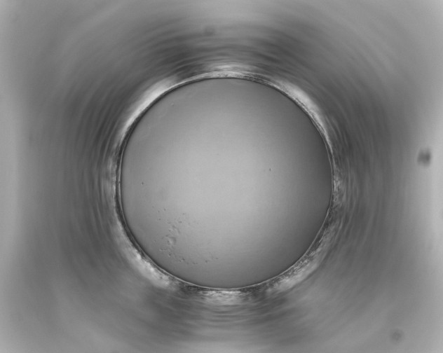 X0000093610859200710291204