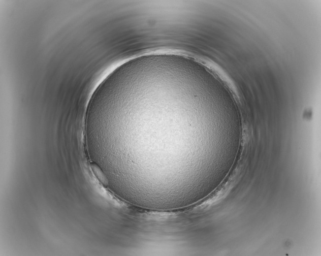 X0000093610860200710291204