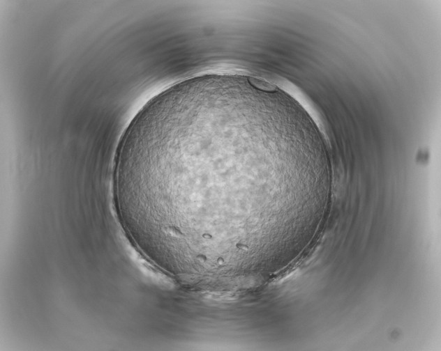 X0000093610861200710291204
