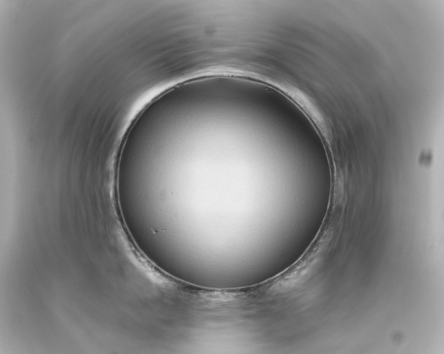 X0000093610862200710291204