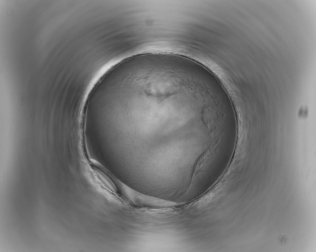 X0000093610864200710291204