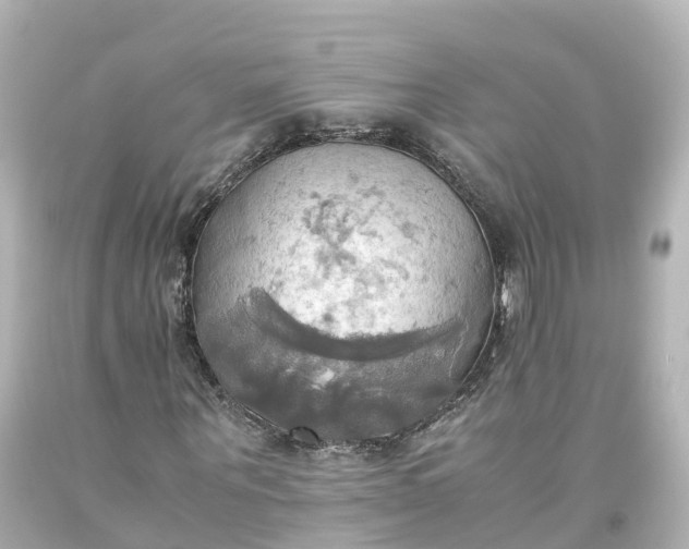 X0000093610867200710291203