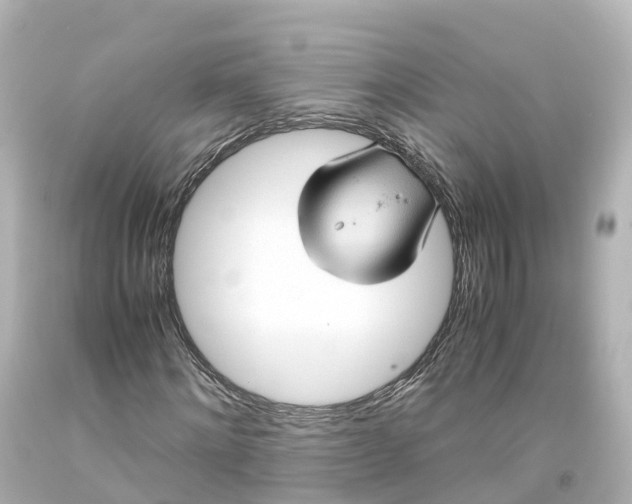 X0000093610868200710291203
