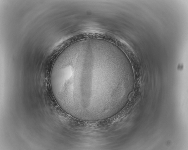 X0000093610870200710291203