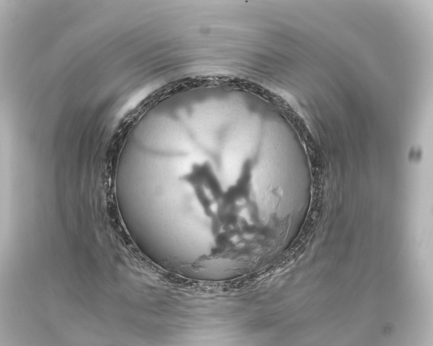 X0000093610871200710291203