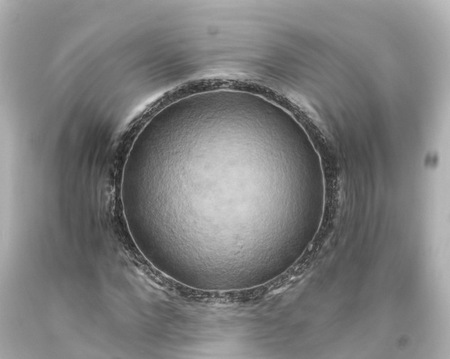 X0000093610872200710291203
