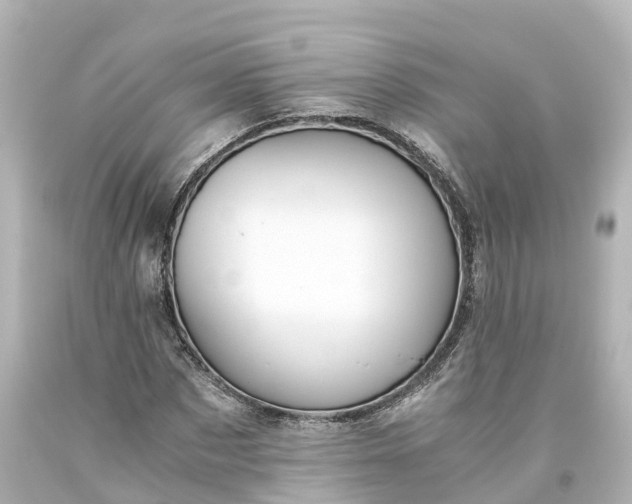 X0000093610873200710291203