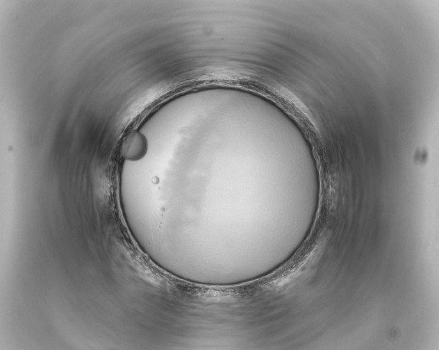 X0000093610874200710291203