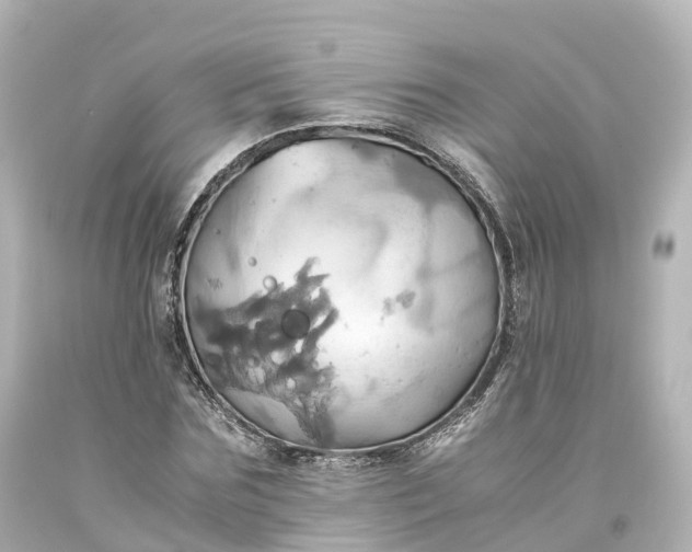 X0000093610875200710291203
