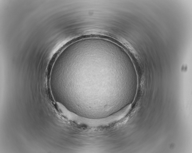 X0000093610877200710291203