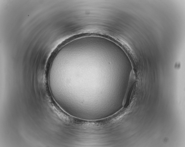 X0000093610880200710291203