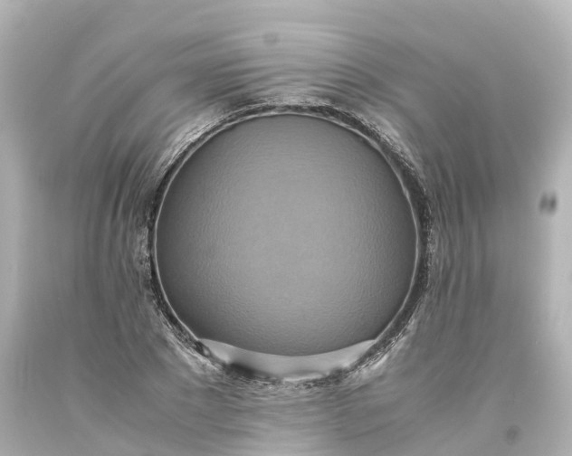 X0000093610881200710291203