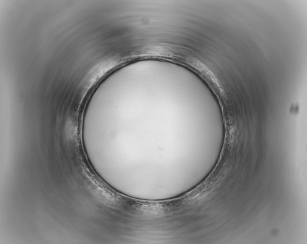 X0000093610882200710291203