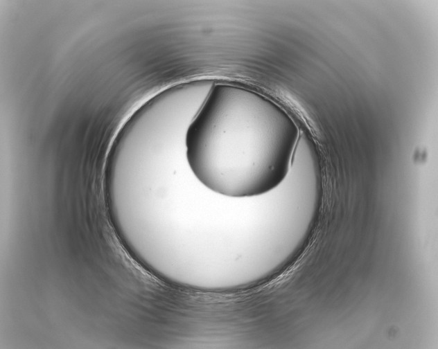 X0000093610884200710291203