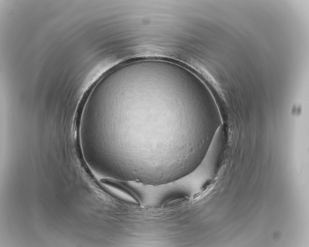 X0000093610885200710291203