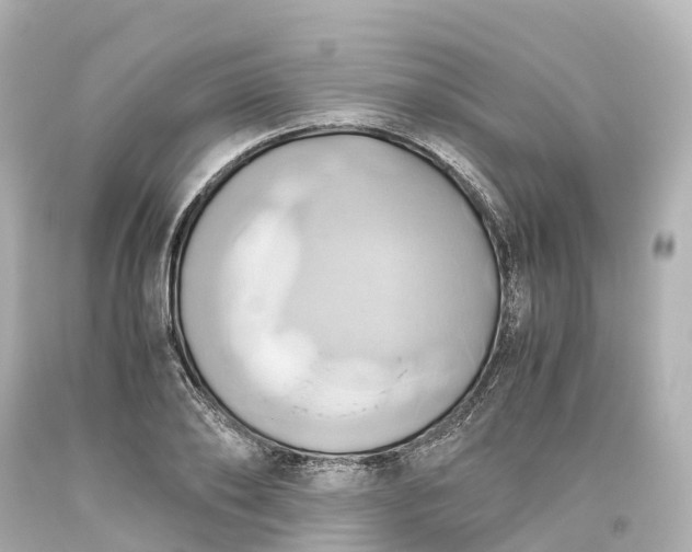 X0000093610886200710291203