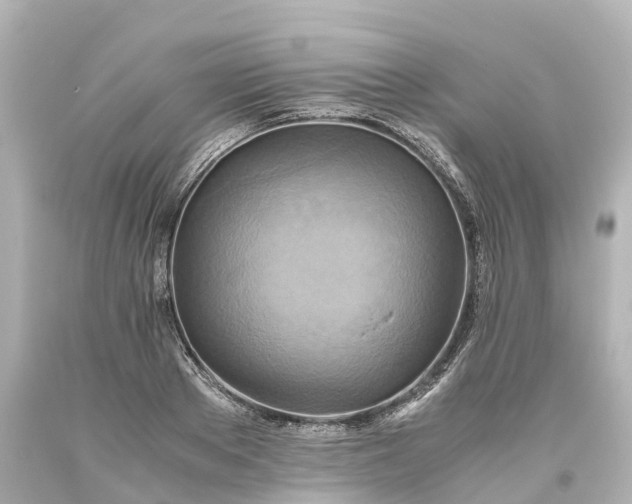 X0000093610889200710291203