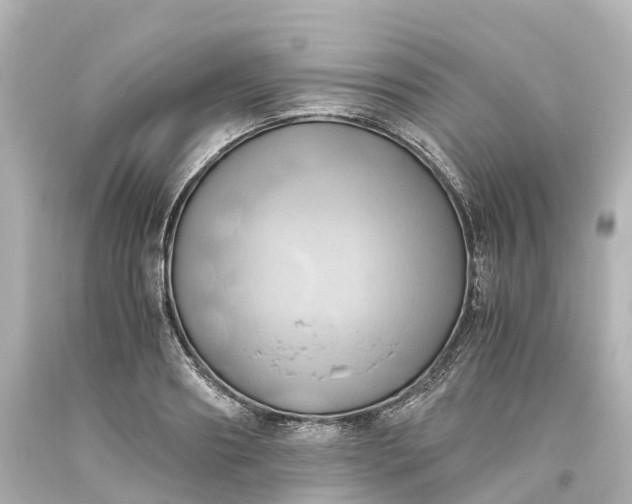 X0000093610890200710291203
