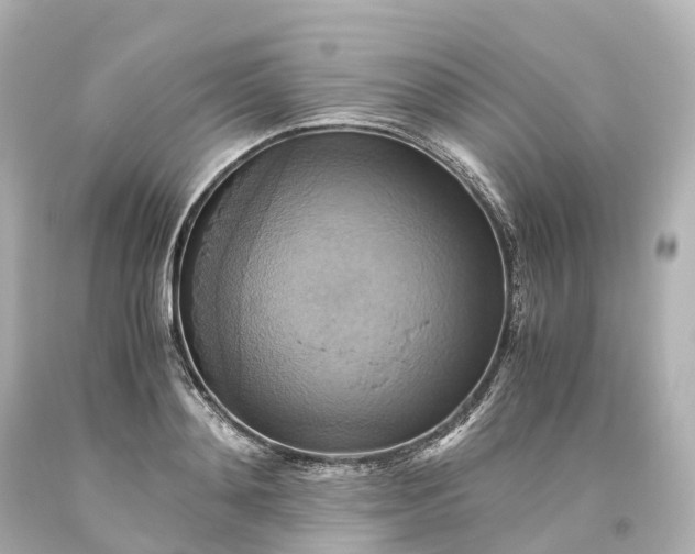 X0000093610892200710291203