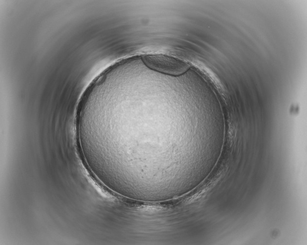 X0000093610894200710291203