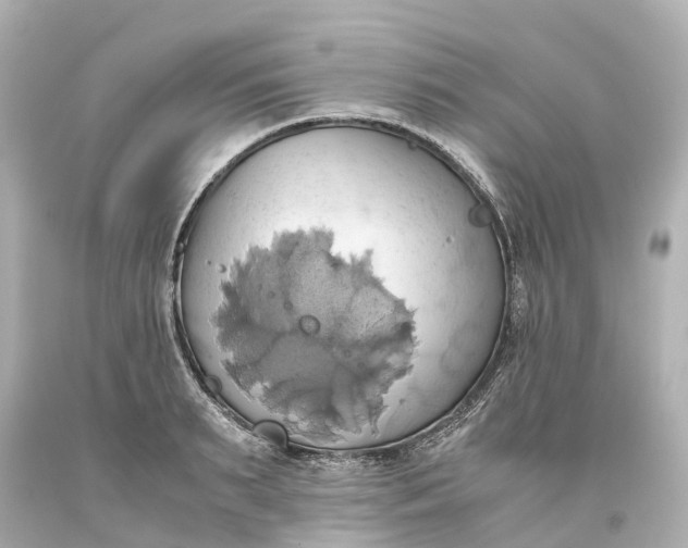X0000093610895200710291203