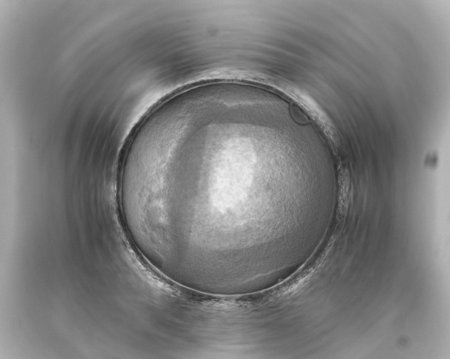 X0000093610896200710291203