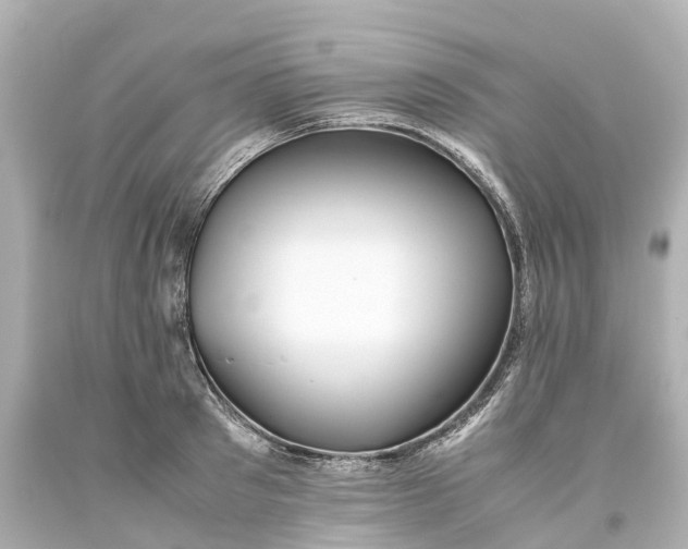 X0000093610897200710291203