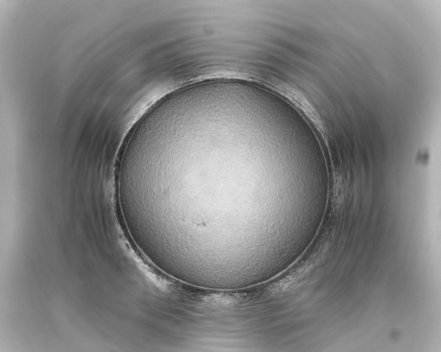 X0000093610898200710291203
