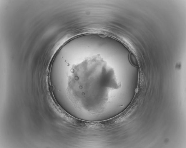X0000093610899200710291203
