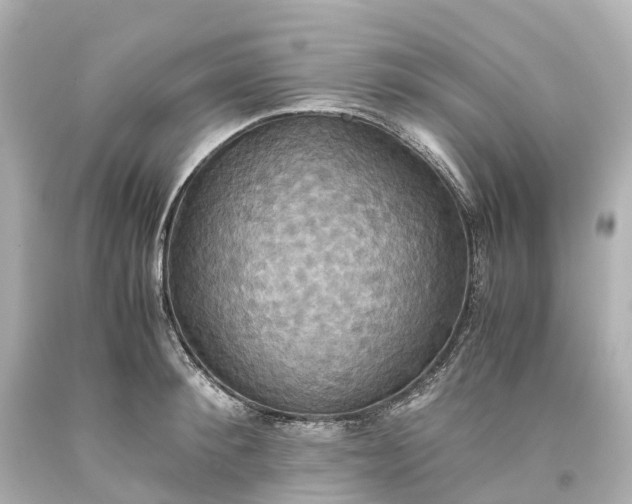X0000093610900200710291203