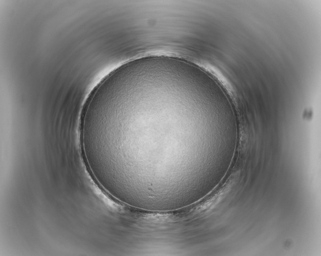 X0000093610902200710291203
