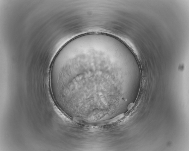 X0000093610903200710291203