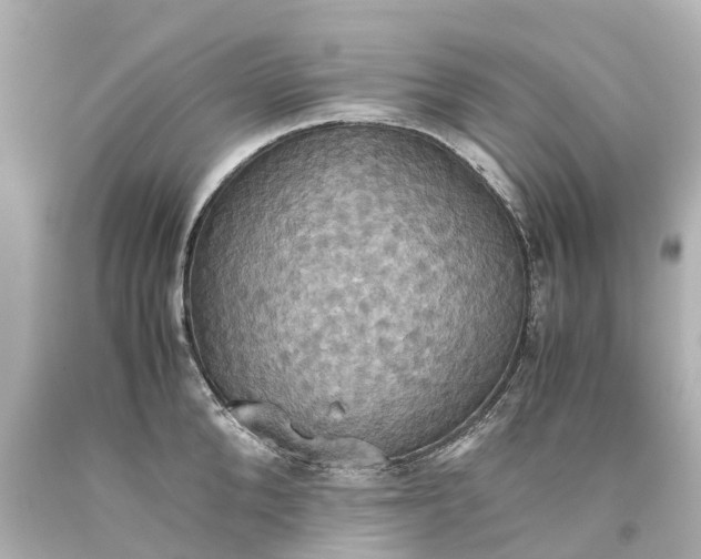 X0000093610904200710291203