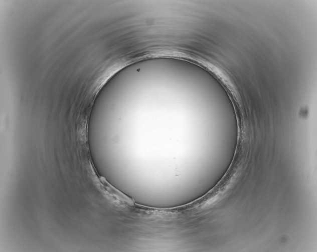 X0000093610905200710291203
