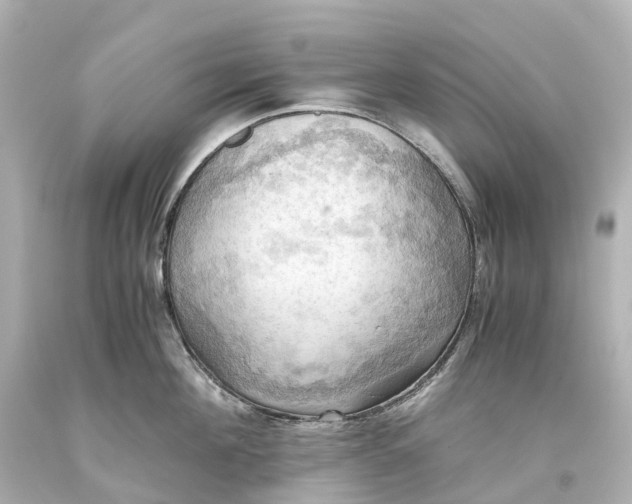 X0000093610908200710291203