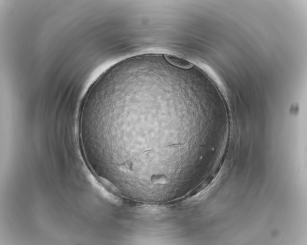 X0000093610910200710291203
