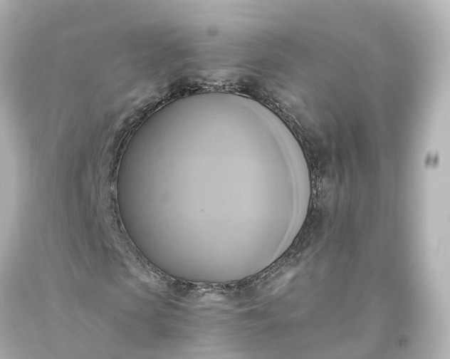 X0000093610913200710291202