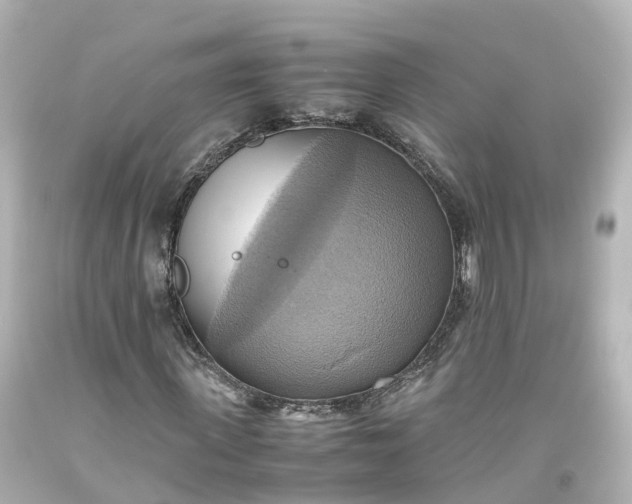 X0000093610915200710291202
