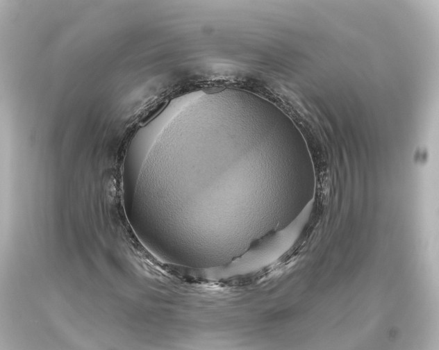 X0000093610916200710291202