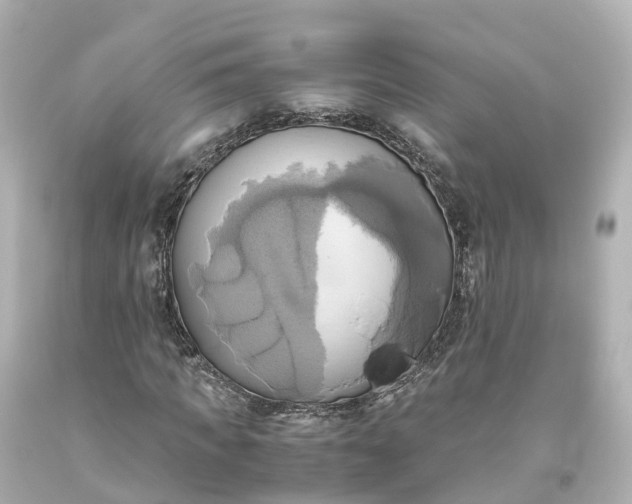 X0000093610917200710291202